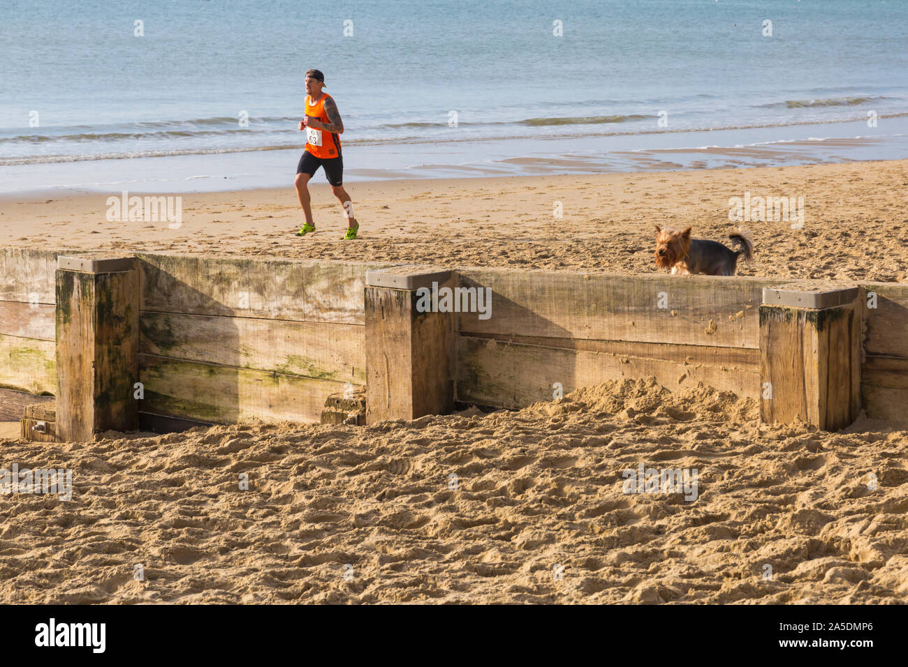 Bournemouth, Dorset, UK. 20th October 2019. Participants take part in the Beach Race, Race the Tide, a low tide beach run along the beautiful shoreline of Bournemouth beach towards Sandbanks beach. Runners run the 5k or 10k race along the seashore and over the groynes before the tide comes in. A dry chilly early morning with some sunshine. Credit: Carolyn Jenkins/Alamy Live News Stock Photo