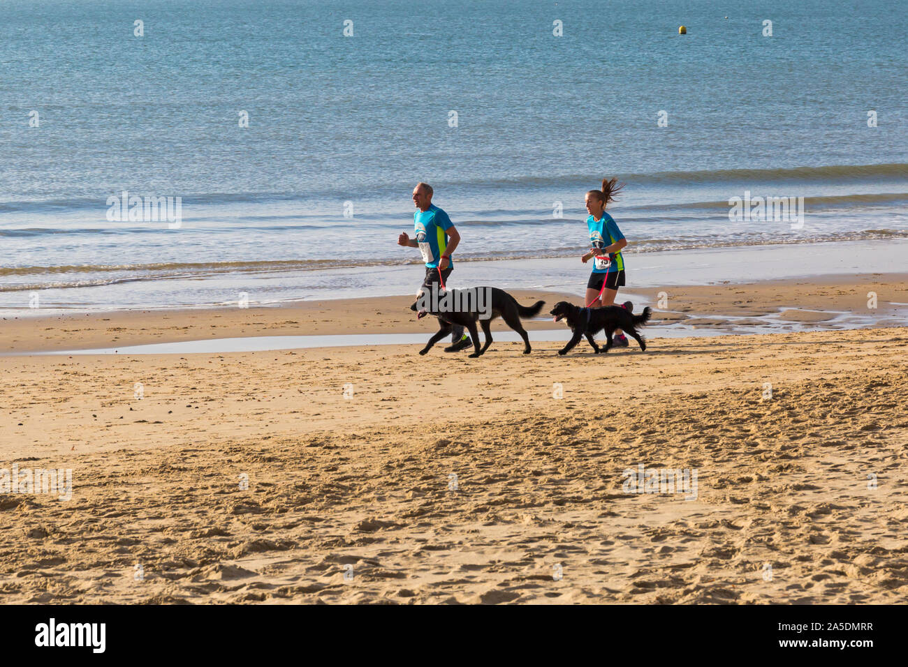 Bournemouth, Dorset, UK. 20th October 2019. Participants take part in the Beach Race, Race the Tide, a low tide beach run along the beautiful shoreline of Bournemouth beach towards Sandbanks beach. Runners run the 5k or 10k race along the seashore and over the groynes before the tide comes in. A dry chilly early morning with some sunshine. Credit: Carolyn Jenkins/Alamy Live News Stock Photo
