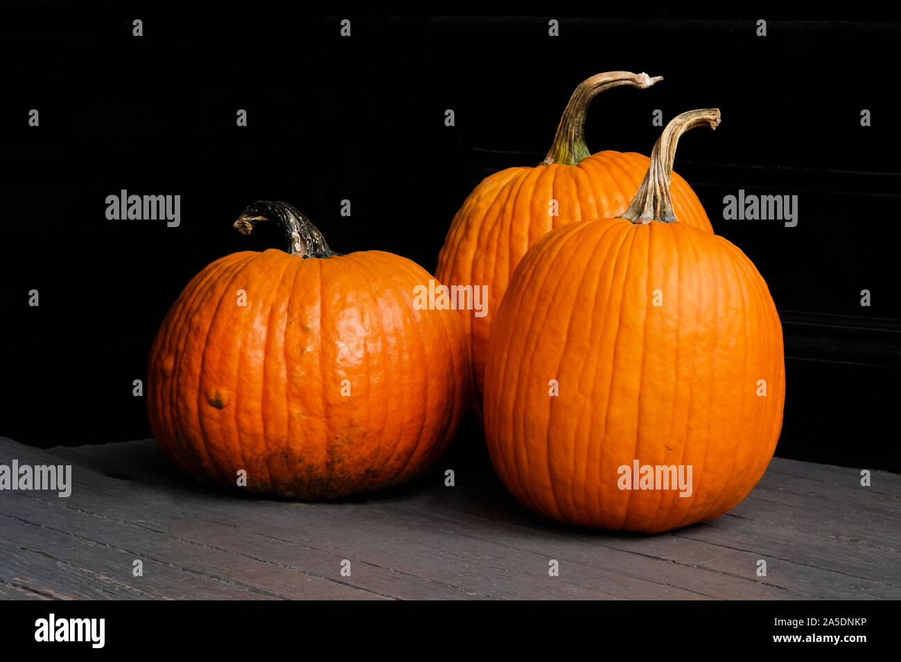 Three orange pumpkins on a grey foreground and black background, copy space around the pumpkins, landscape format Stock Photo
