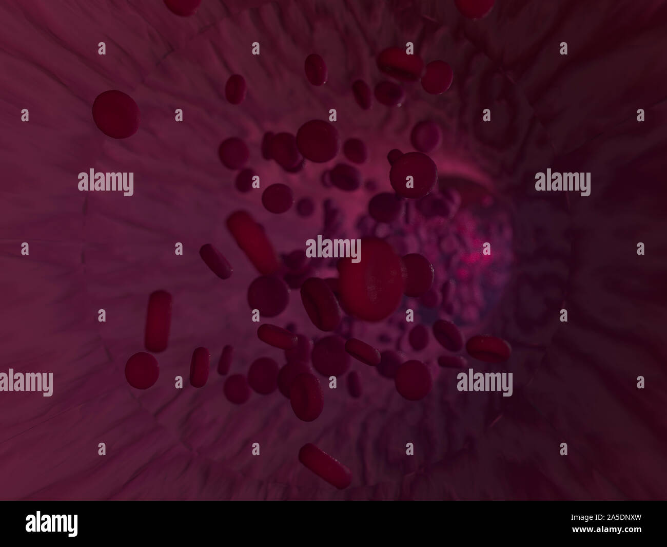 Red blood cells. Scientific illustration bloodstream. 3D rendering Stock Photo