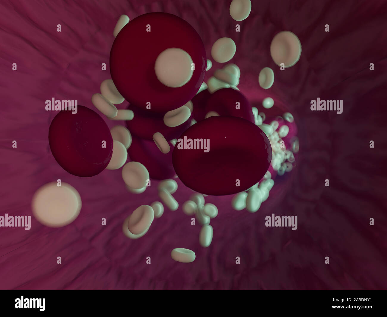 Red blood cells. Scientific illustration bloodstream. 3D rendering Stock Photo