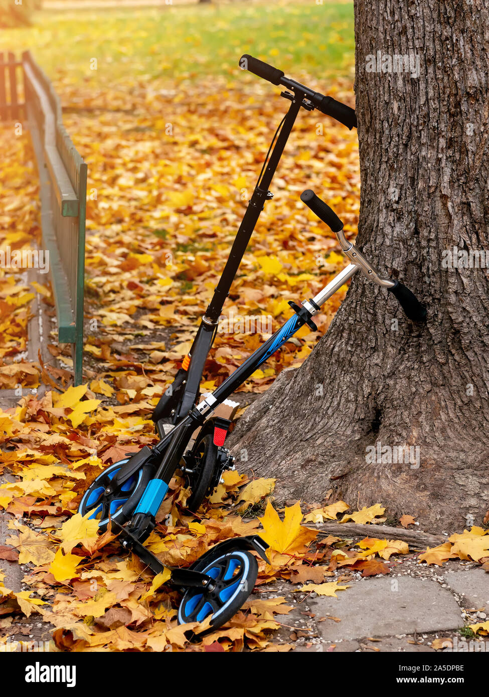 two scooters near a tree in the autumn Park Stock Photo