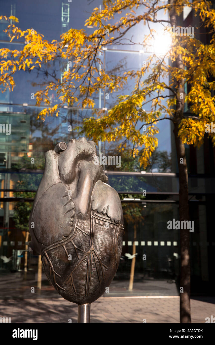 cardiac center of the University Hospital in the district Lindenthal, Cologne, Germany. Bronze sculpture by Peter Stanek in front of the building.  He Stock Photo