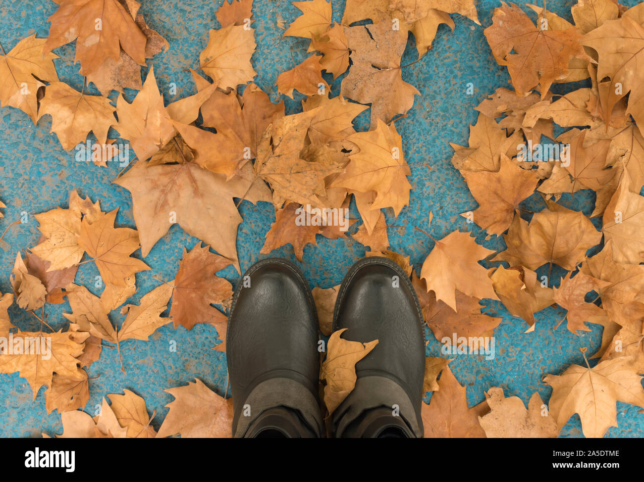 Feet stepping on dry autumn leaves, on a blue city floor Stock Photo