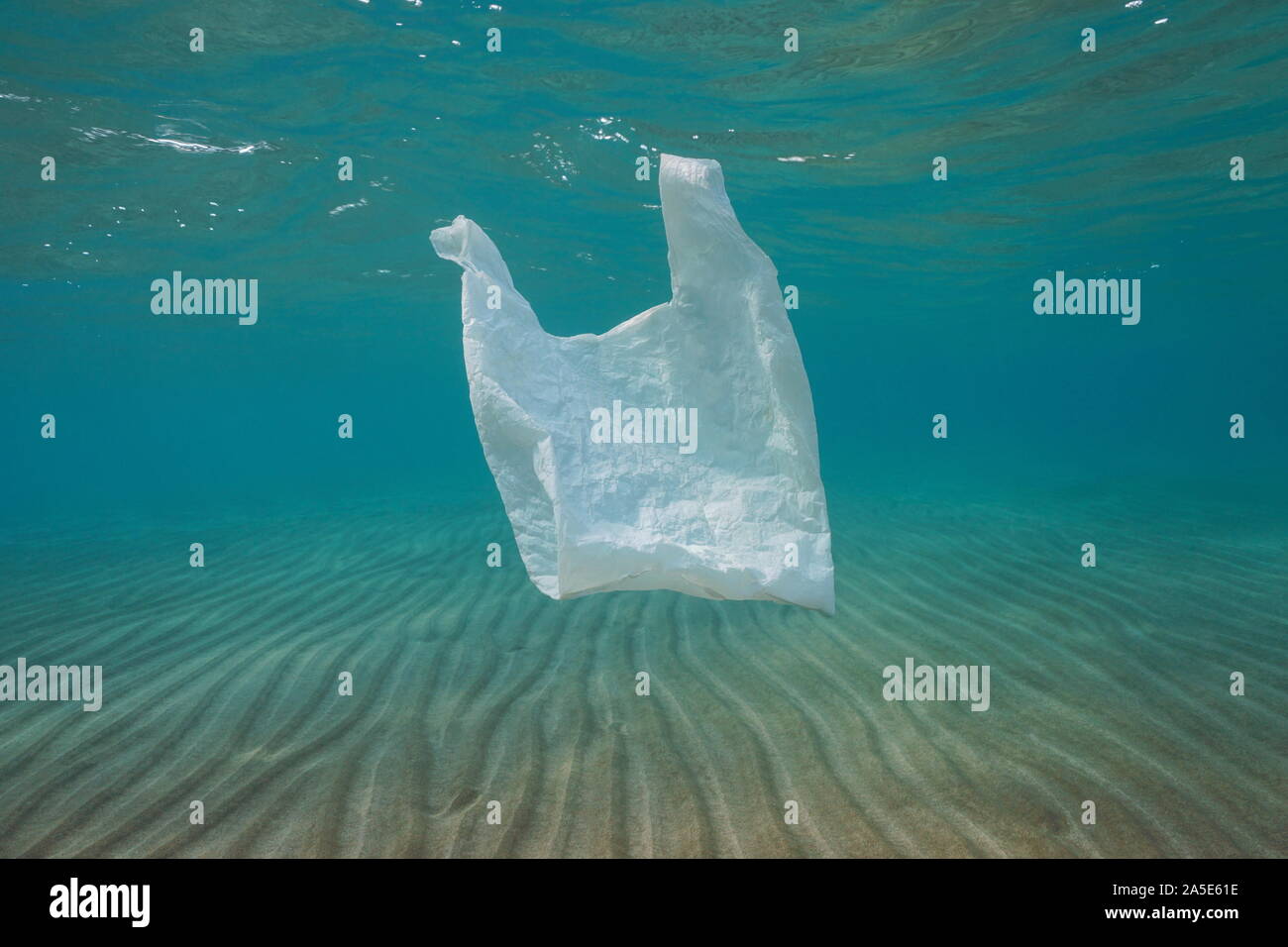 plastic bags in the ocean