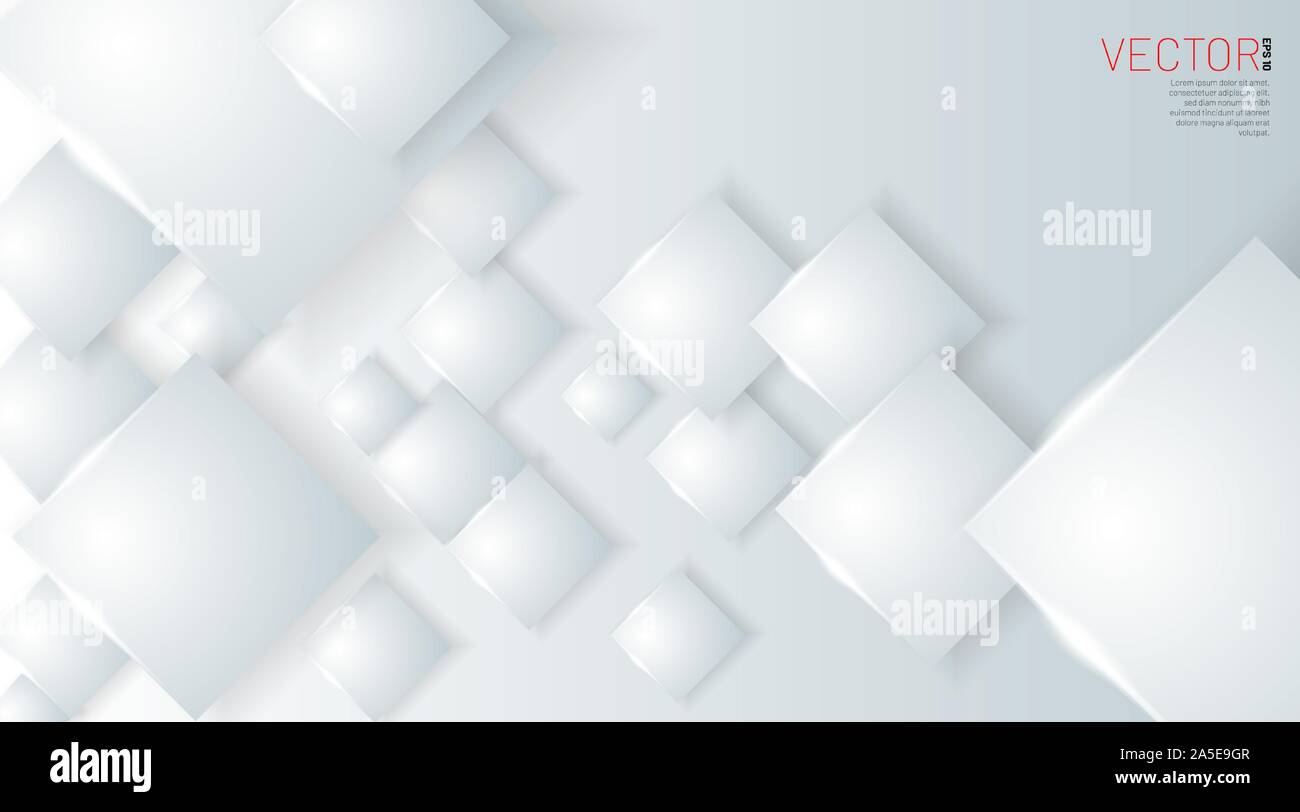 Vector white box Abstract background Gray blank. Stock Vector