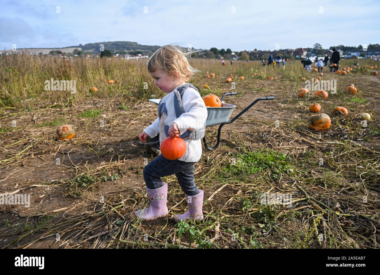 Worthing, UK. 20th Oct, 2019. Two and a half year old Izzy enjoys picking pumpkins at Sompting near Worthing in West Sussex on a lovely sunny but cool Autumnal day . Credit: Simon Dack/Alamy Live News Stock Photo