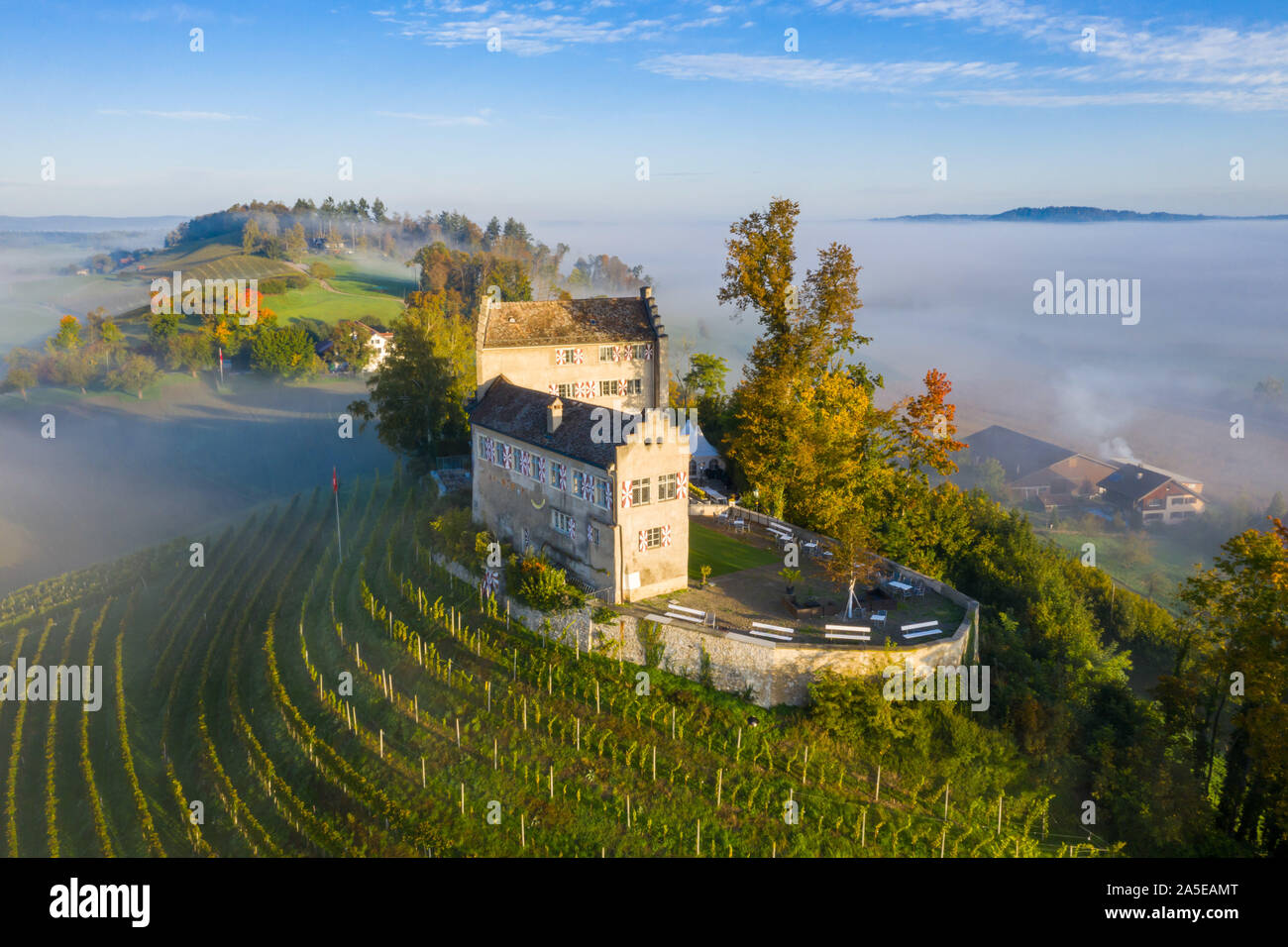 Aerial view of Swiss medieval castle Schloss Schwandegg on a hill with vineyards in a warm sunrise light. A misty foggy valley in the background. Walt Stock Photo