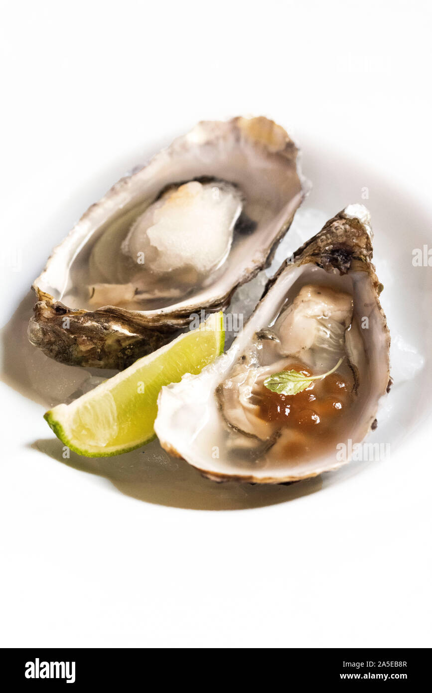 Two oysters with vinaigrette and a lime vedge on a white plate in natural light Stock Photo