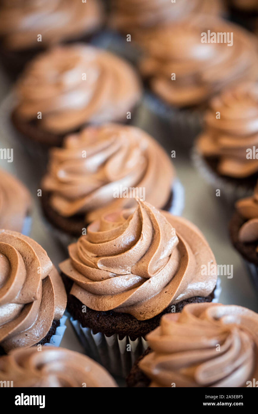 Many chocolate cupcakes with chocolate frosting in a bakery in natural light on a tray Stock Photo