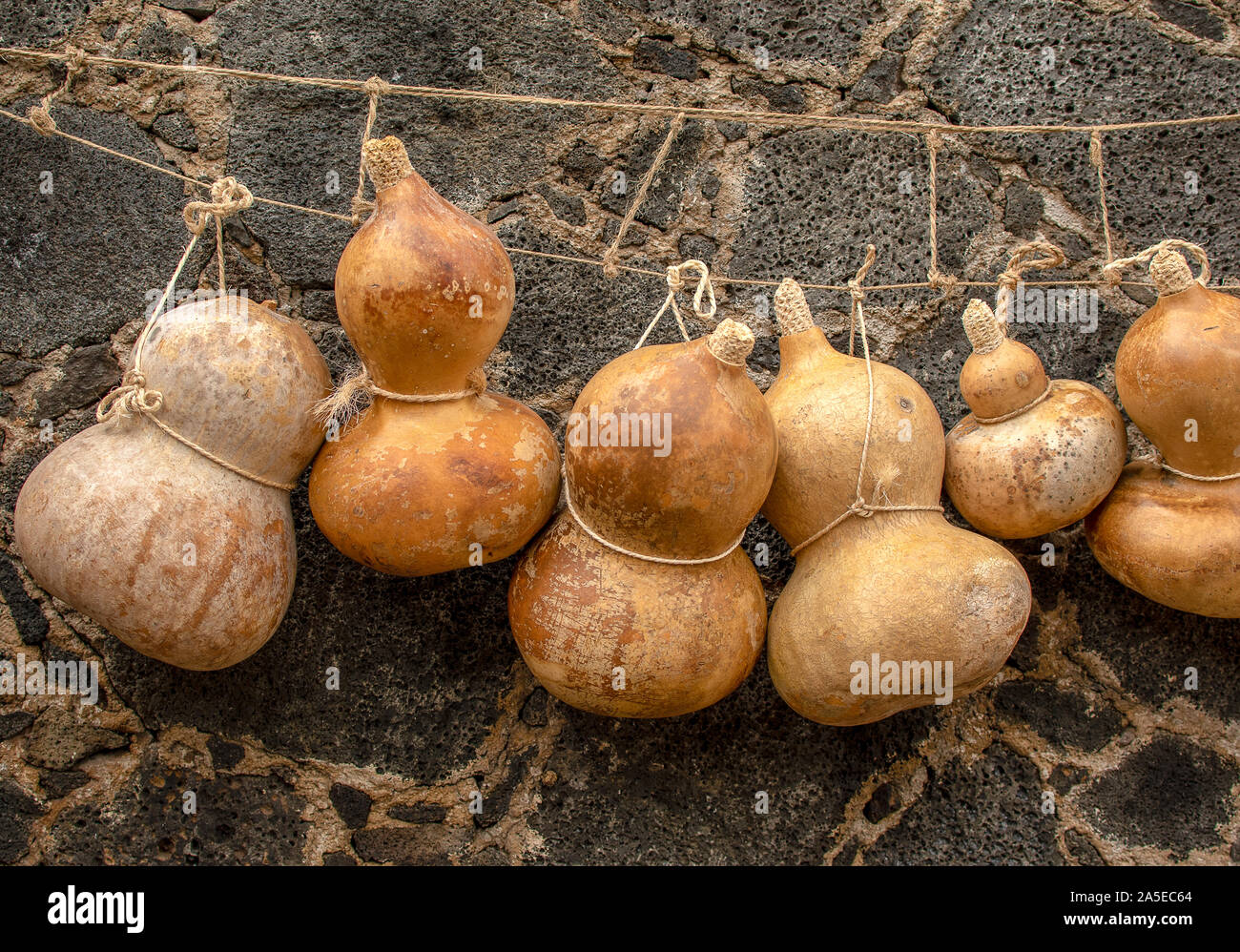 big dried seed container typical traditional mexican stone background Stock Photo