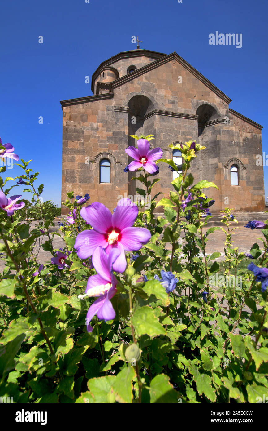 Armenia: Saint Hripsime Church with purple hibiscus flower remedies Stock Photo