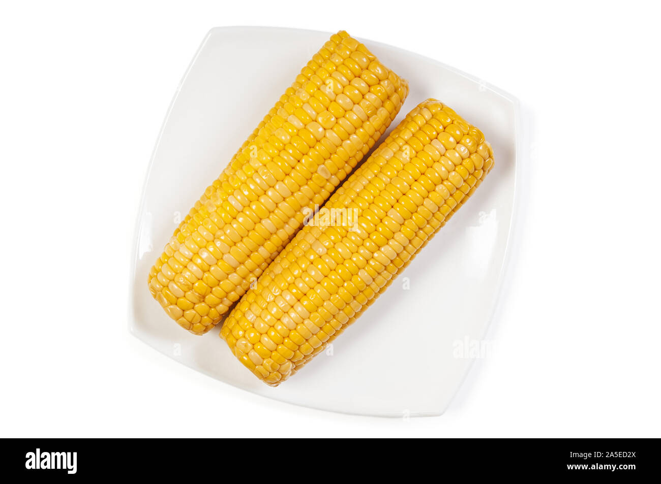 Cooked sweet cob corn on dish isolated with clipping path. Top view Stock Photo