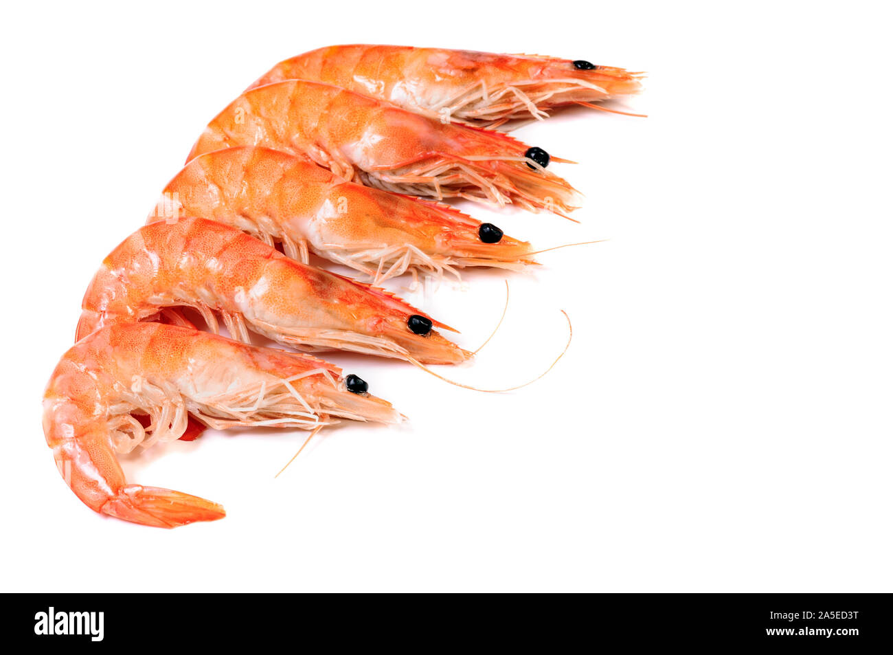 Five cooked shrimps arranged in a row isolated on white background Stock Photo