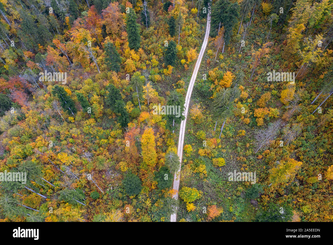 Aerial forward flight over forest hi-res stock photography and images ...