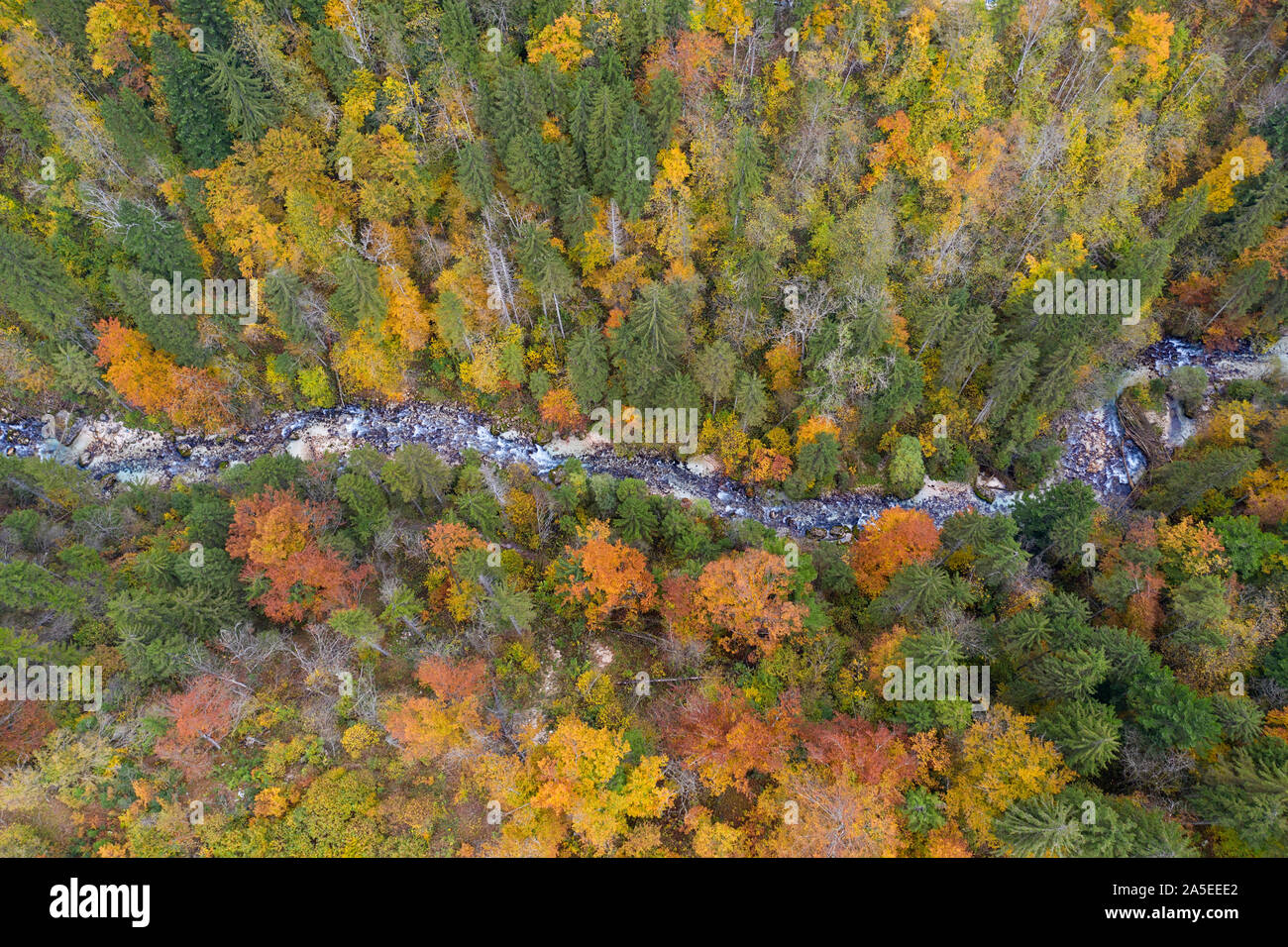 Aerial forward flight over forest hi-res stock photography and images ...