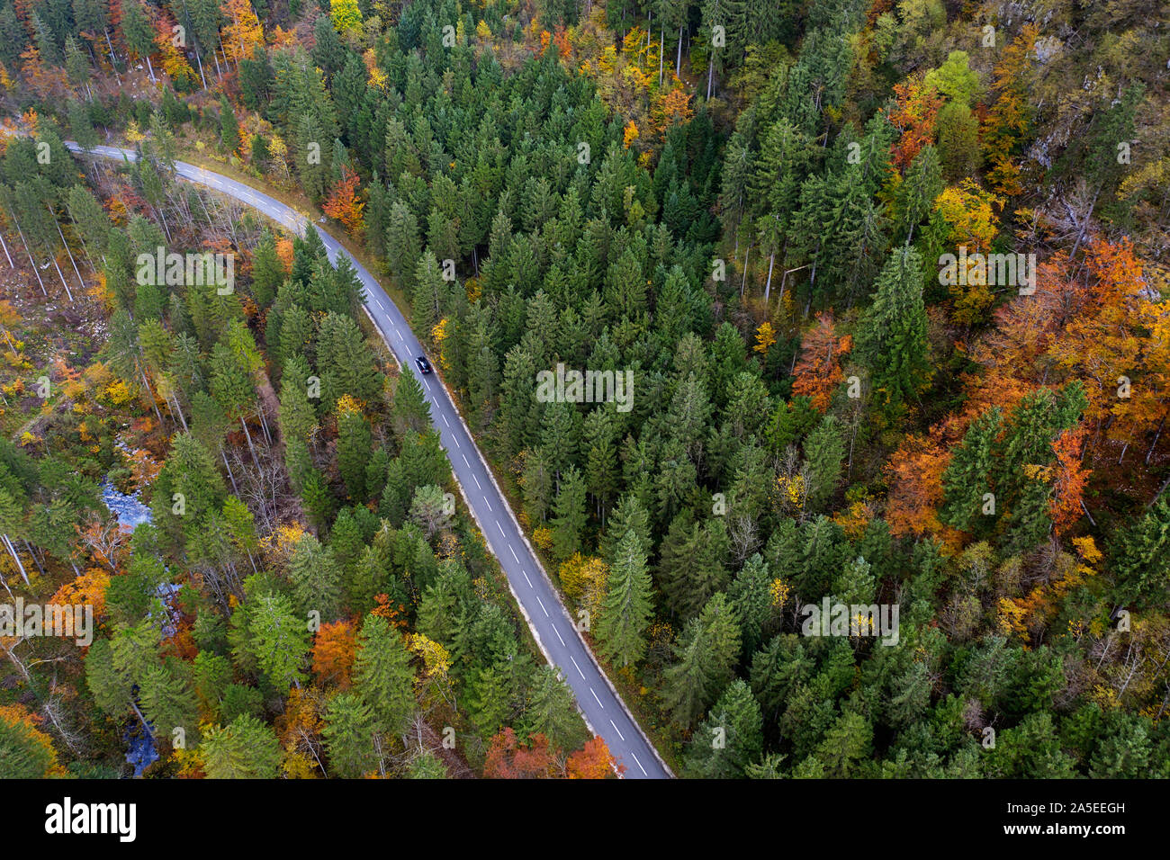 Aerial flight over autumn trees hi-res stock photography and images - Alamy