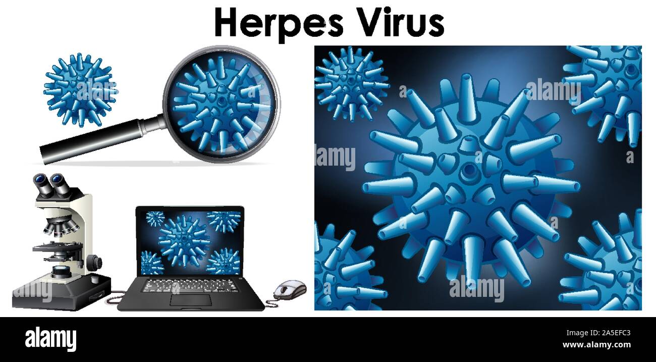 Close up isolated object of virus named Herpes virus illustration Stock
