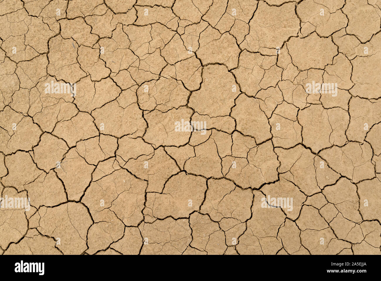 Clay sandy earth parched and cracked Stock Photo