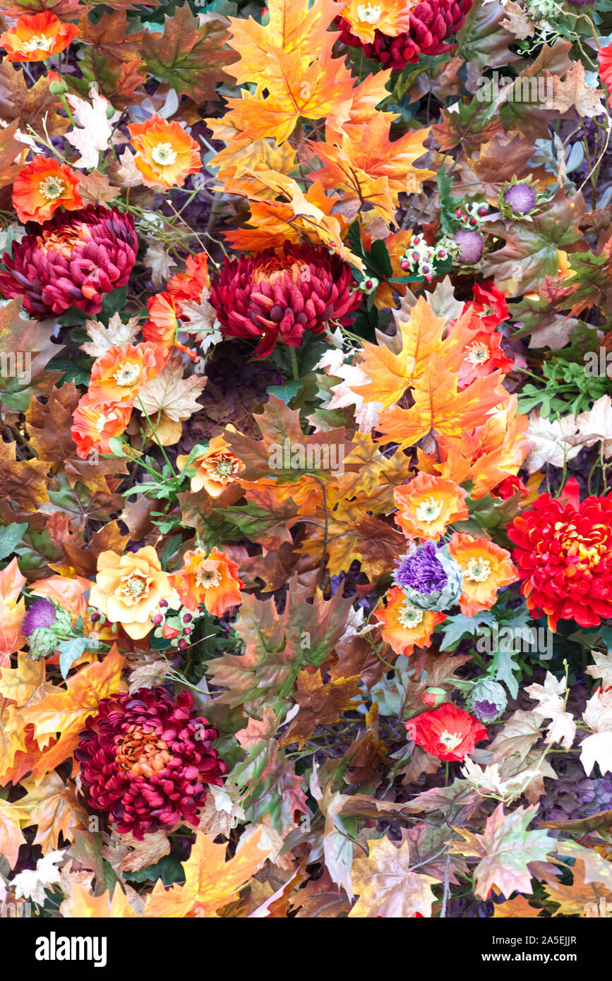 Autumn floral display Stock Photo