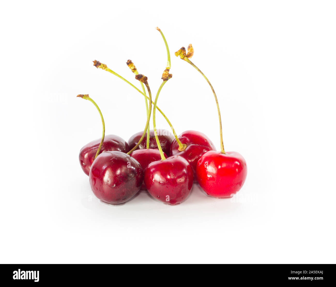 Group of fresh rinsed cherries on white background Stock Photo