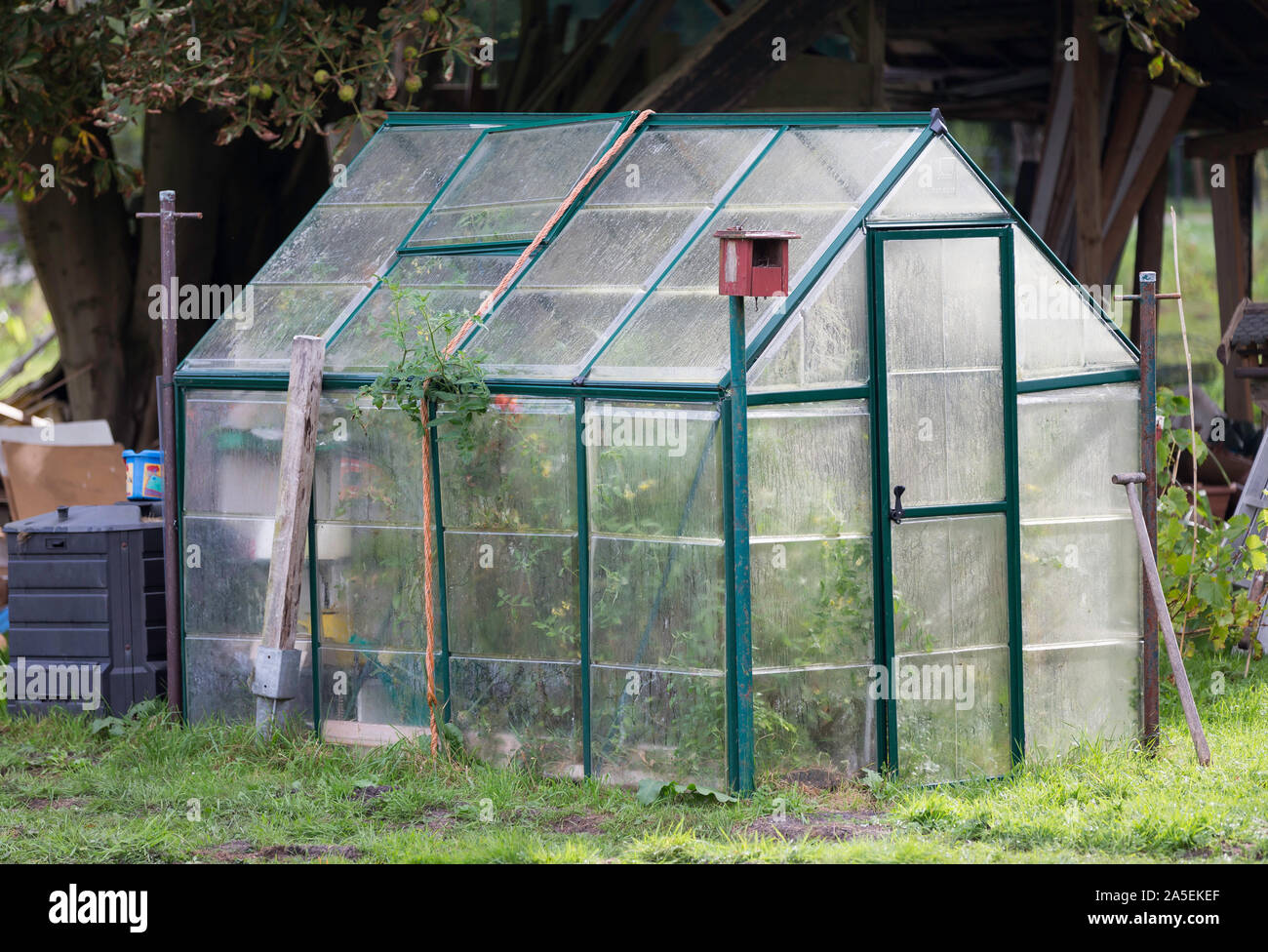 Palram Canopia Oasis Hexagonal Greenhouse Costco House Greenhouse