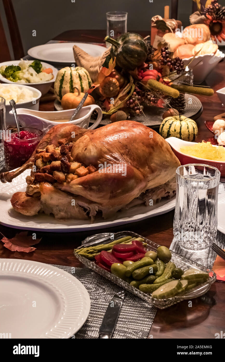 Thanksgiving turkey dinner. Stock Photo