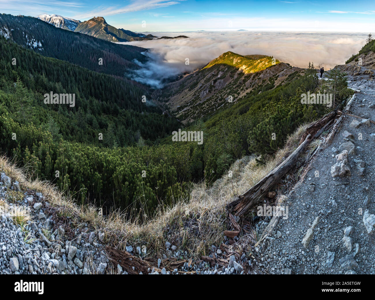 Tatra Mountains in Ponland above the clouds Stock Photo - Alamy