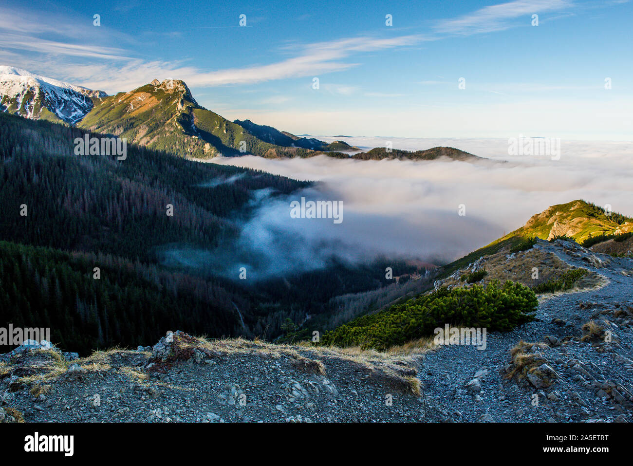 Tatra Mountains in Ponland above the clouds Stock Photo - Alamy