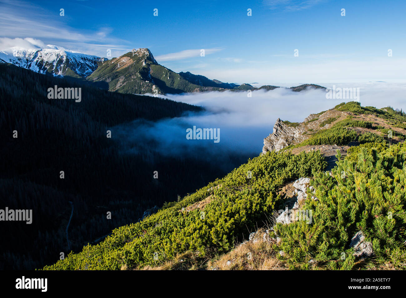 Tatra Mountains in Ponland above the clouds Stock Photo - Alamy