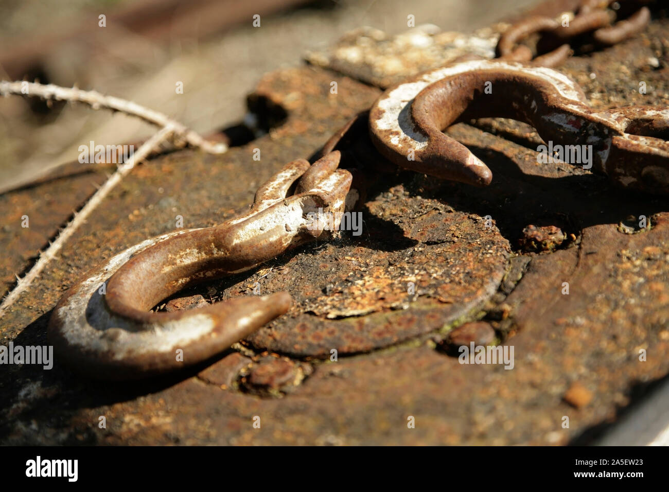 Two old rusty metal hooks. Stock Photo