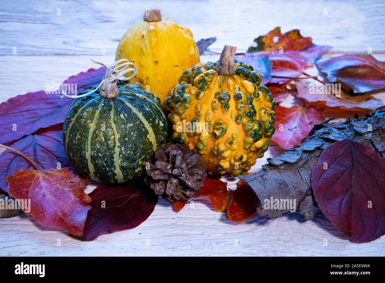 Autumn composition with pumpkins and autumn leaves on vintage white ...