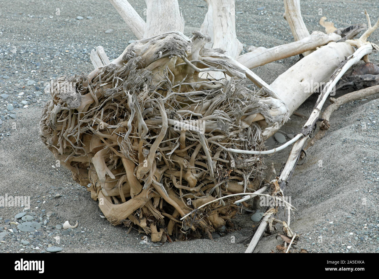 Flotsam beachcombing hi-res stock photography and images - Alamy
