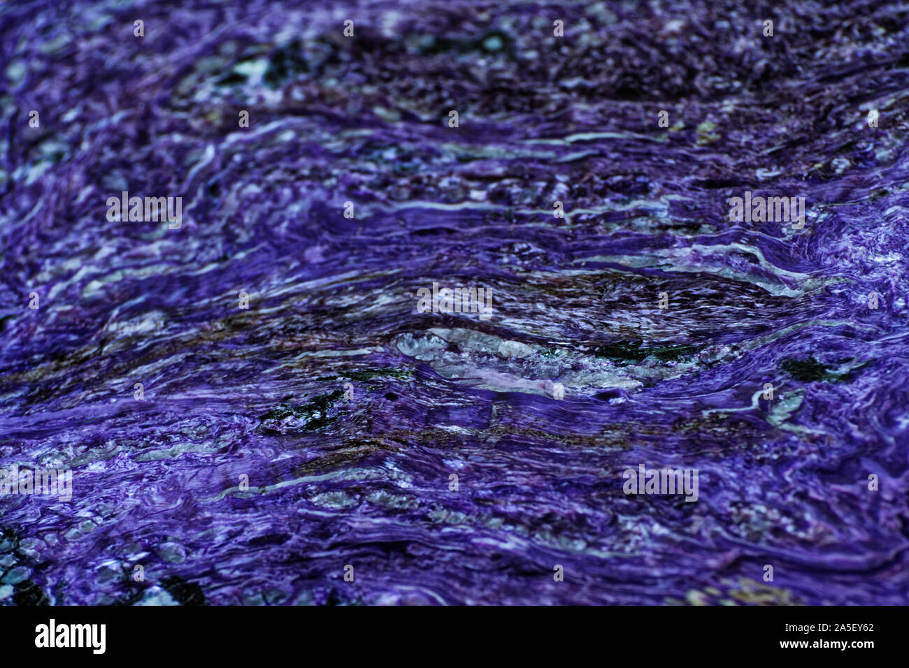 Photo Charoite, mineral, pyroxene group, subclass, chain silicates, rock, charoite Stock Photo