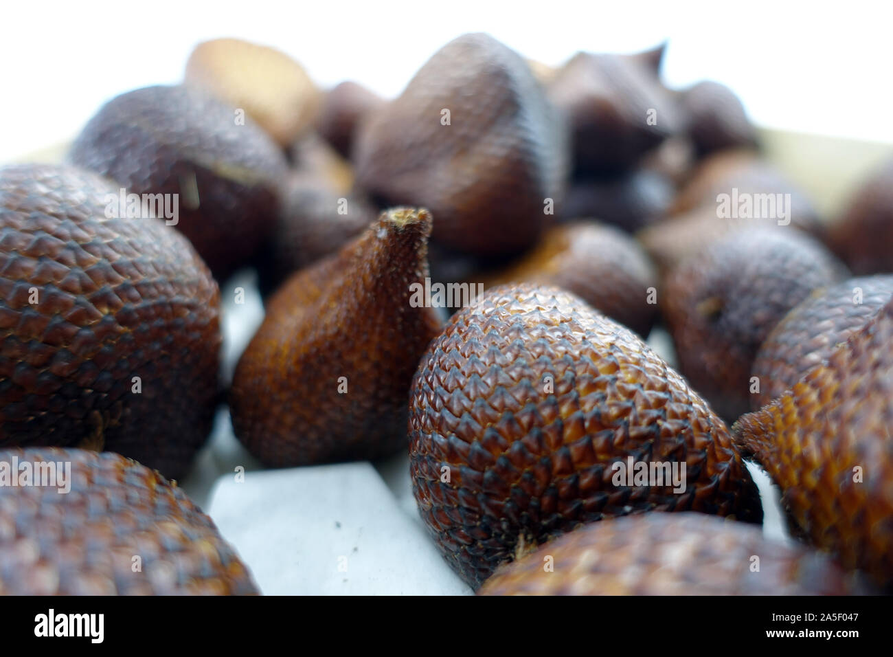 Zalacca High Resolution Stock Photography And Images Alamy Zalacca High Resolution Stock Photography And Images Alamy