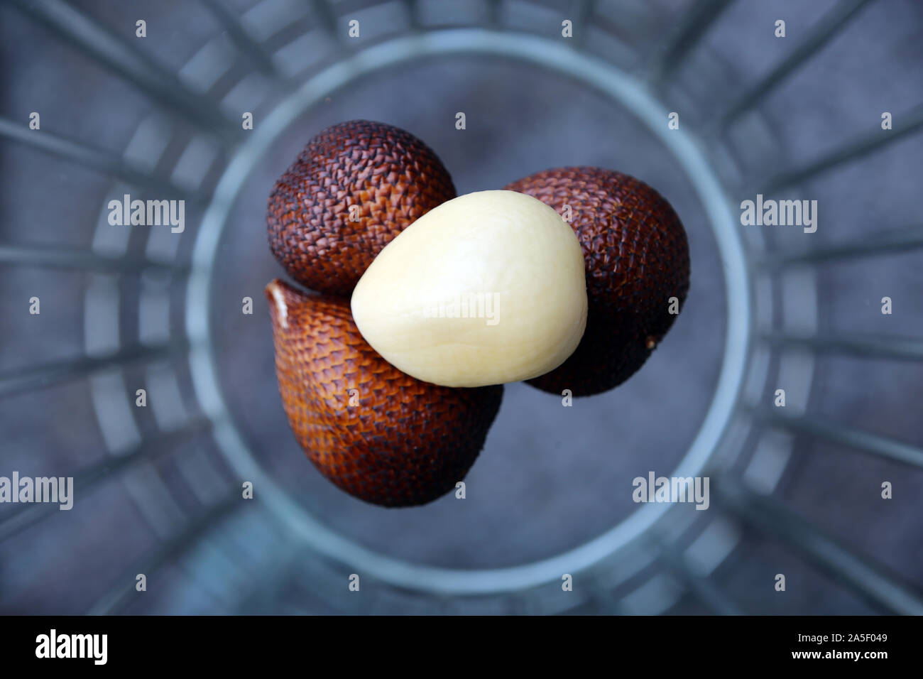 Zalacca High Resolution Stock Photography And Images Alamy Zalacca High Resolution Stock Photography And Images Alamy