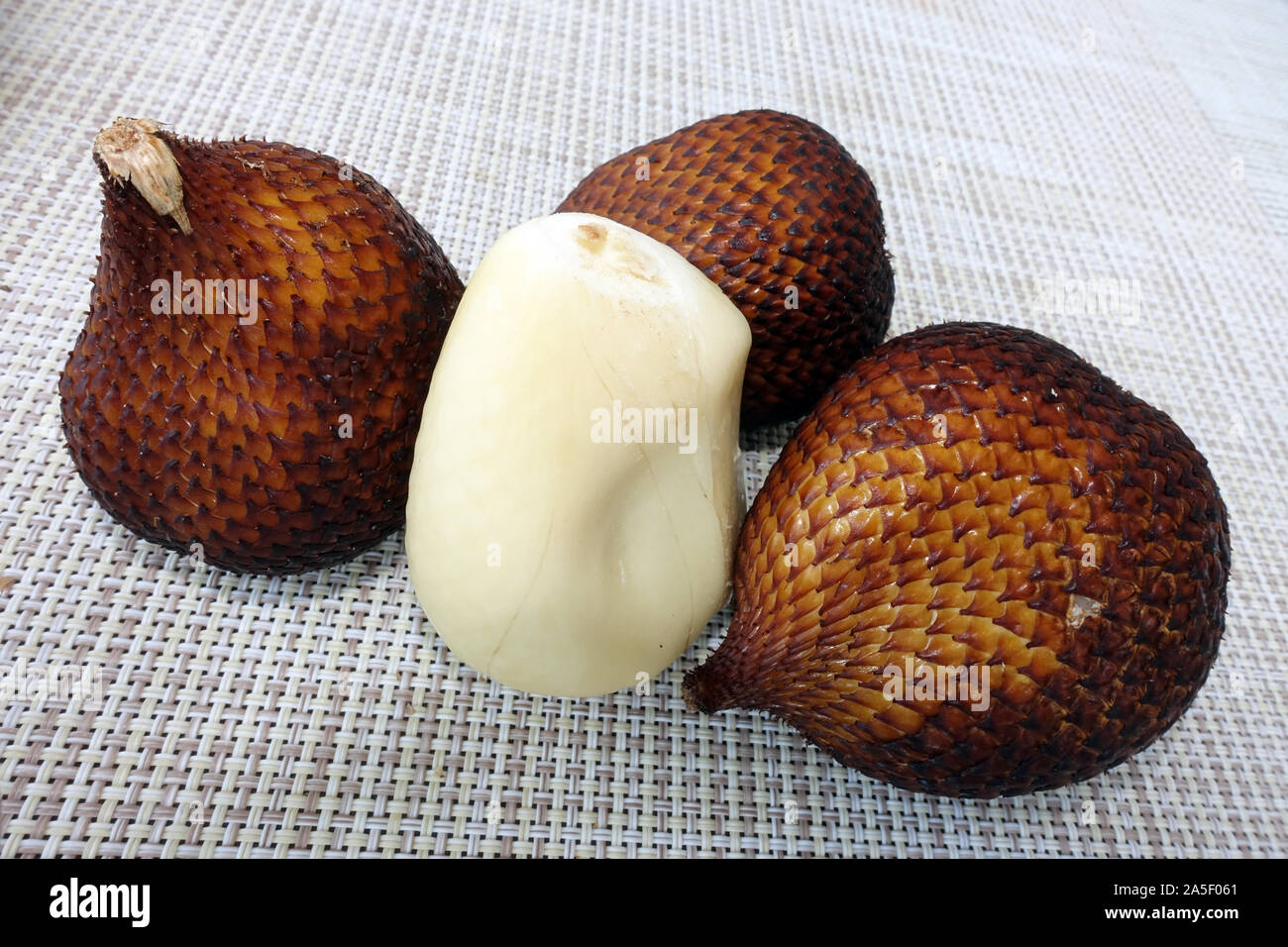 Zalacca High Resolution Stock Photography And Images Alamy Zalacca High Resolution Stock Photography And Images Alamy