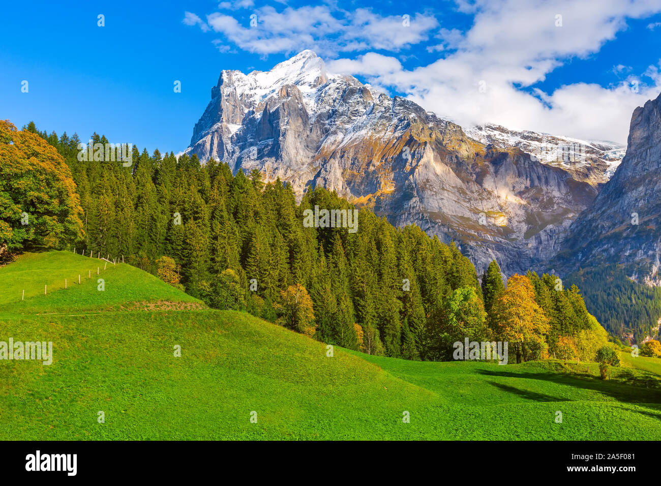 Grindelwald, Switzerland aerial green valley view and autumn Swiss Alps ...