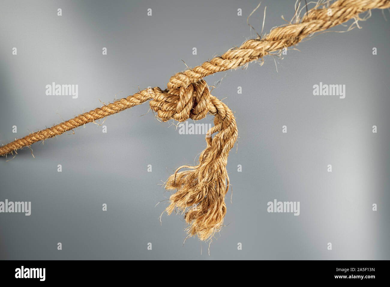 https://c8.alamy.com/comp/2A5F13N/rough-strong-ropes-connected-by-large-knot-on-gray-background-selective-focus-2A5F13N.jpg