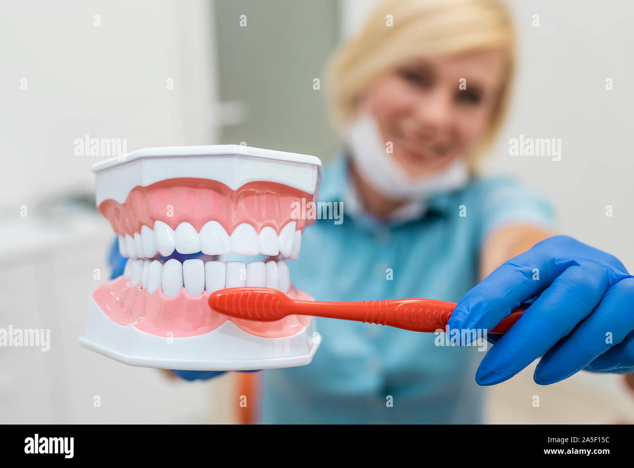 Closeup of smiling dentist showing the right way to brush teeth Stock Photo