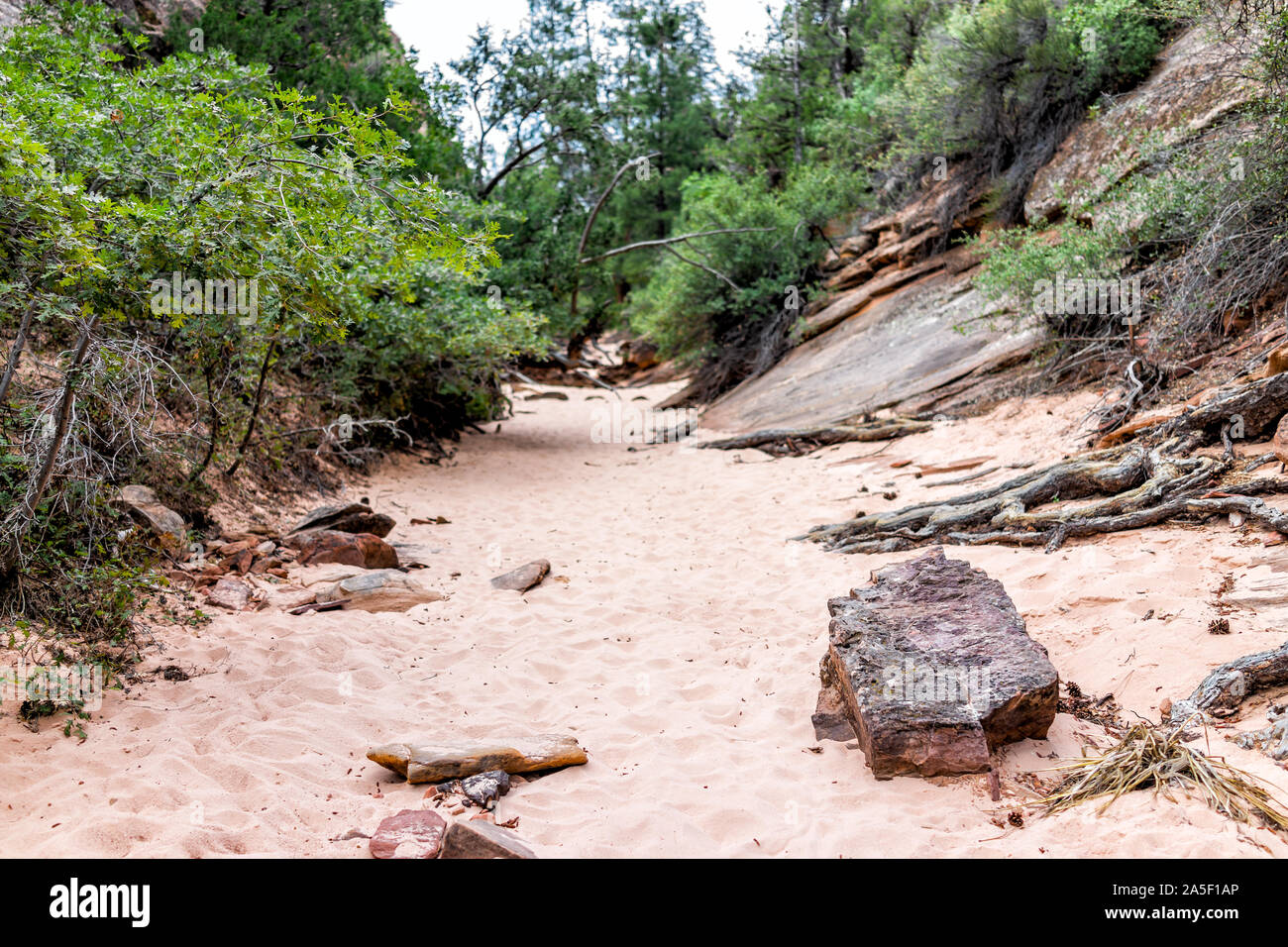 Giffer Rocks Zion National Park in Utah with Gifford Canyon trail sand and rocks ...