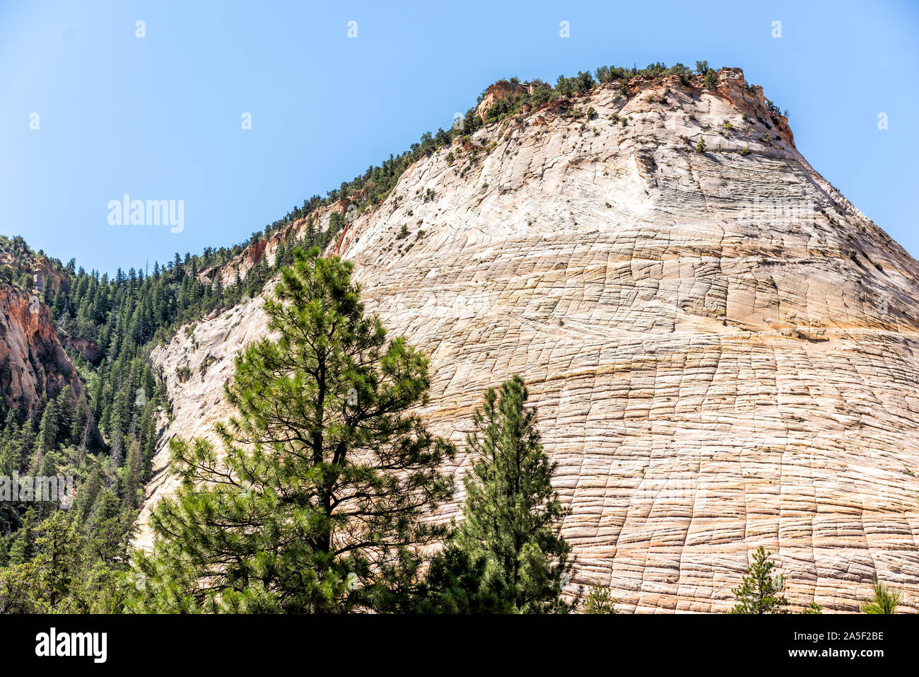 Checkerboard formation hi-res stock photography and images - Alamy