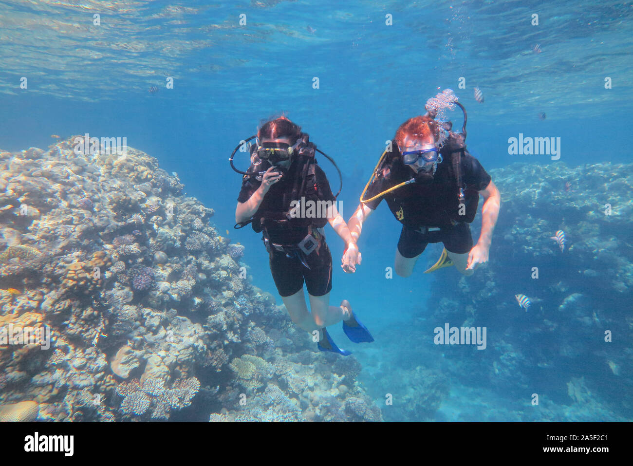 Couple is swiming under the sea water. Travel lifestyle, water sport outdoor adventure concept. Stock Photo