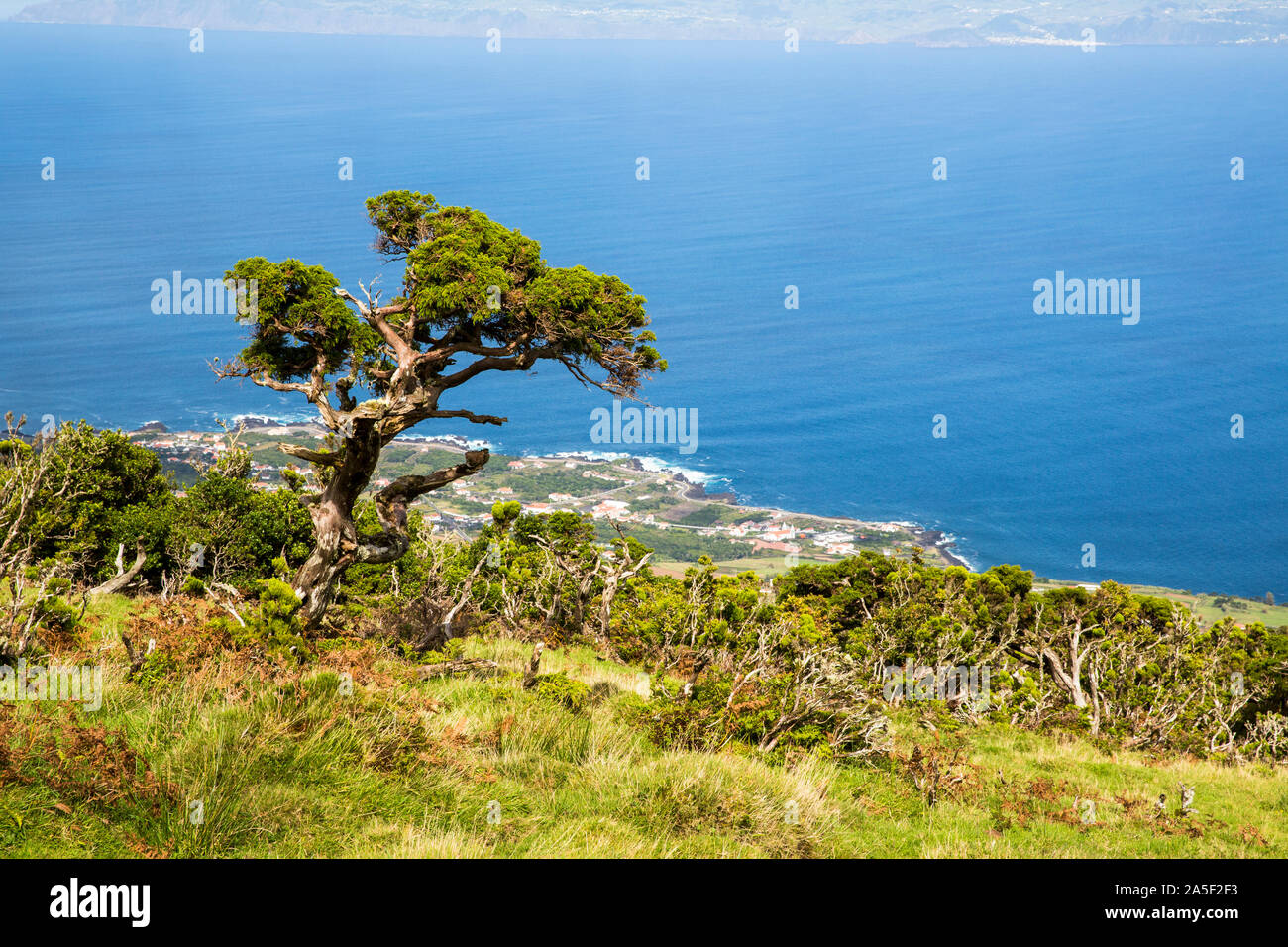 Pico north landscape. Azores, Portugal Stock Photo