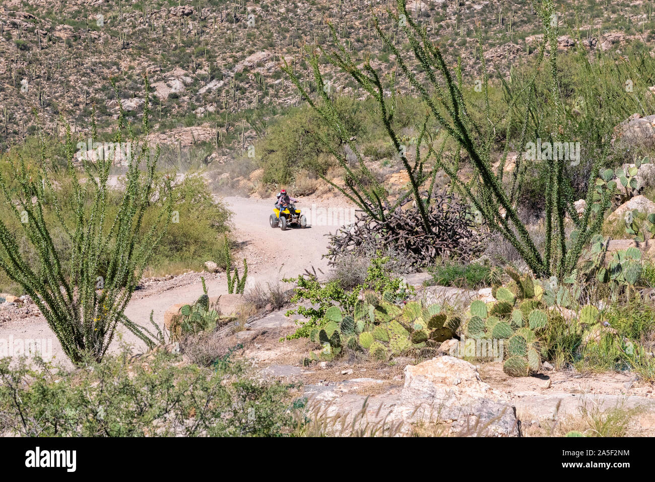ATV riding on Redington Pass Road, Tucson, Arizona, USA Stock Photo