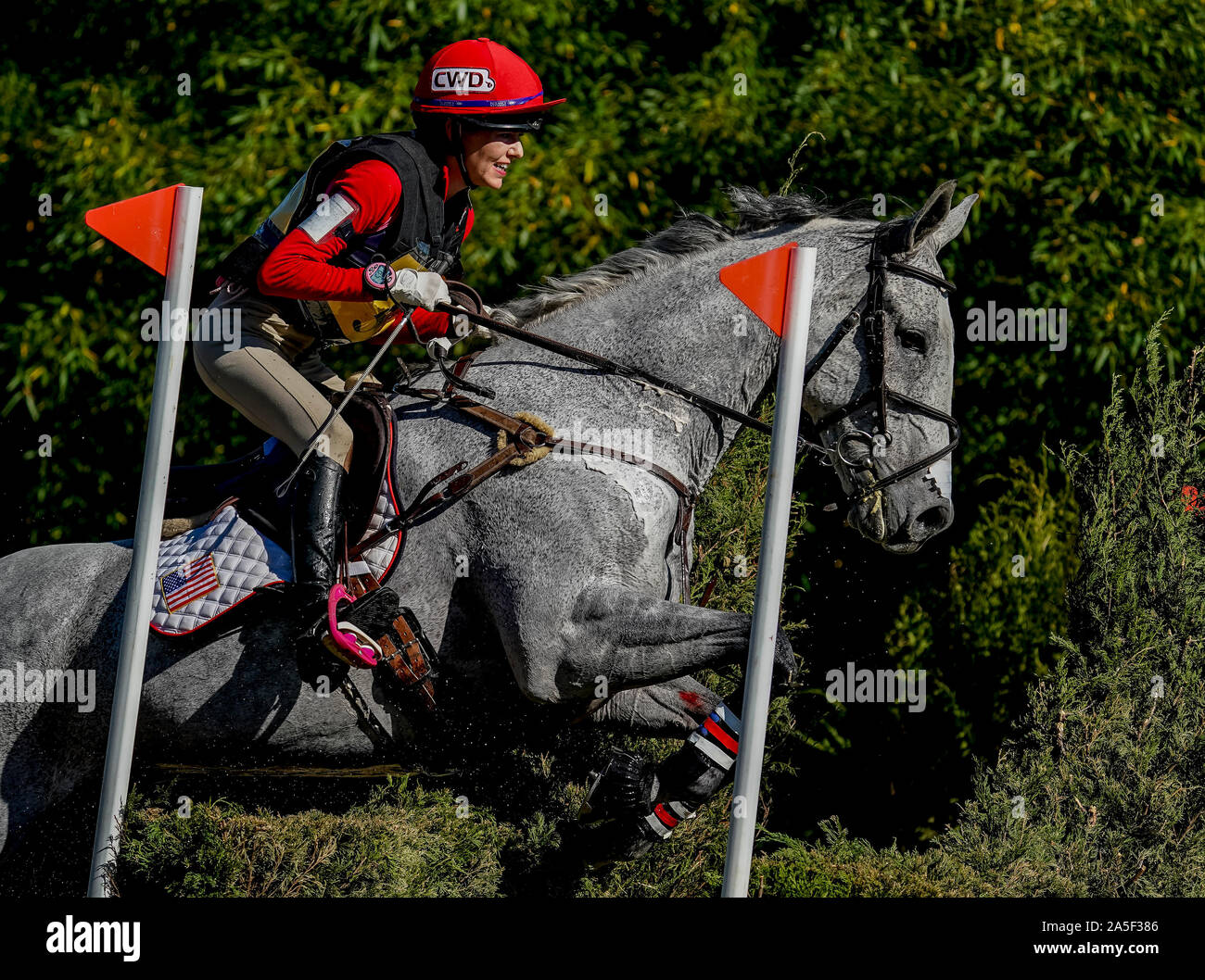 October 19, 2019, Fair Hill, MD, USA: October 20, 2019 : Local rider Juli Sebring (USA), from Elkton, and Welbourne clear an obstacle during the Cross Country Test at the Fair Hill International 3-Day Event at the Fair Hill Natural Resources Area in Fair Hill, Maryland. This is the final year of a 31-year run of the event at this location. In 2020, the event moves to a new facility in the Fair Hill area and will eventually be upgraded to one of two CCI 5* events in the United States. Scott Serio/Eclipse Sportswire/CSM Stock Photo
