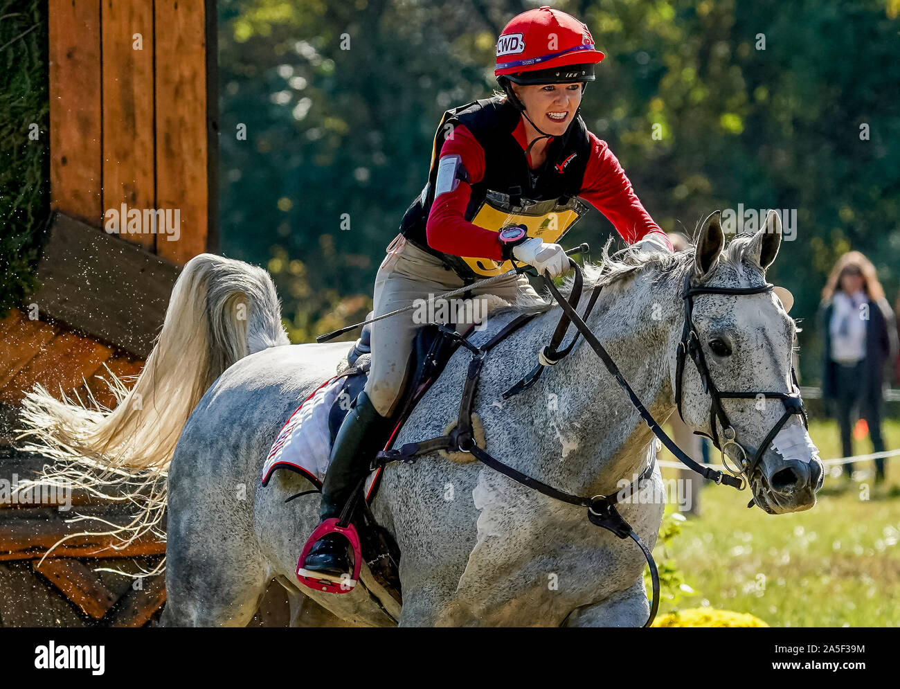 October 19, 2019, Fair Hill, MD, USA: October 20, 2019 : Local rider Juli Sebring (USA), from Elkton, and Welbourne clear an obstacle during the Cross Country Test at the Fair Hill International 3-Day Event at the Fair Hill Natural Resources Area in Fair Hill, Maryland. This is the final year of a 31-year run of the event at this location. In 2020, the event moves to a new facility in the Fair Hill area and will eventually be upgraded to one of two CCI 5* events in the United States. Scott Serio/Eclipse Sportswire/CSM Stock Photo