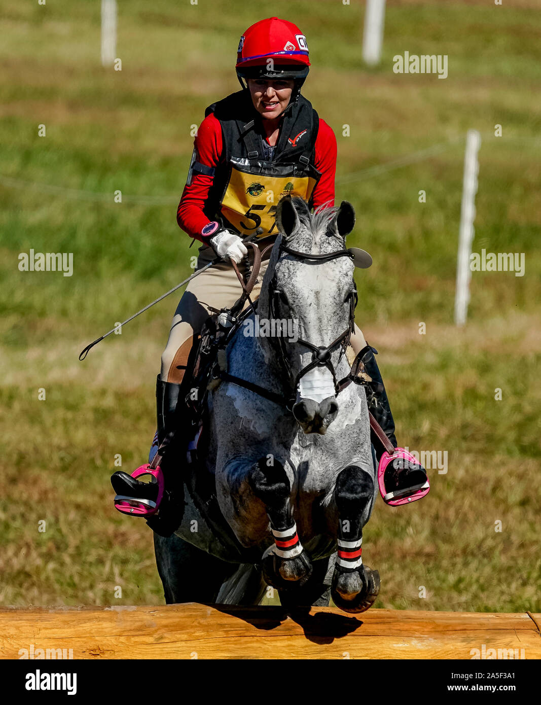 October 19, 2019, Fair Hill, MD, USA: October 20, 2019 : Local rider Juli Sebring (USA), from Elkton, and Welbourne clear an obstacle during the Cross Country Test at the Fair Hill International 3-Day Event at the Fair Hill Natural Resources Area in Fair Hill, Maryland. This is the final year of a 31-year run of the event at this location. In 2020, the event moves to a new facility in the Fair Hill area and will eventually be upgraded to one of two CCI 5* events in the United States. Scott Serio/Eclipse Sportswire/CSM Stock Photo