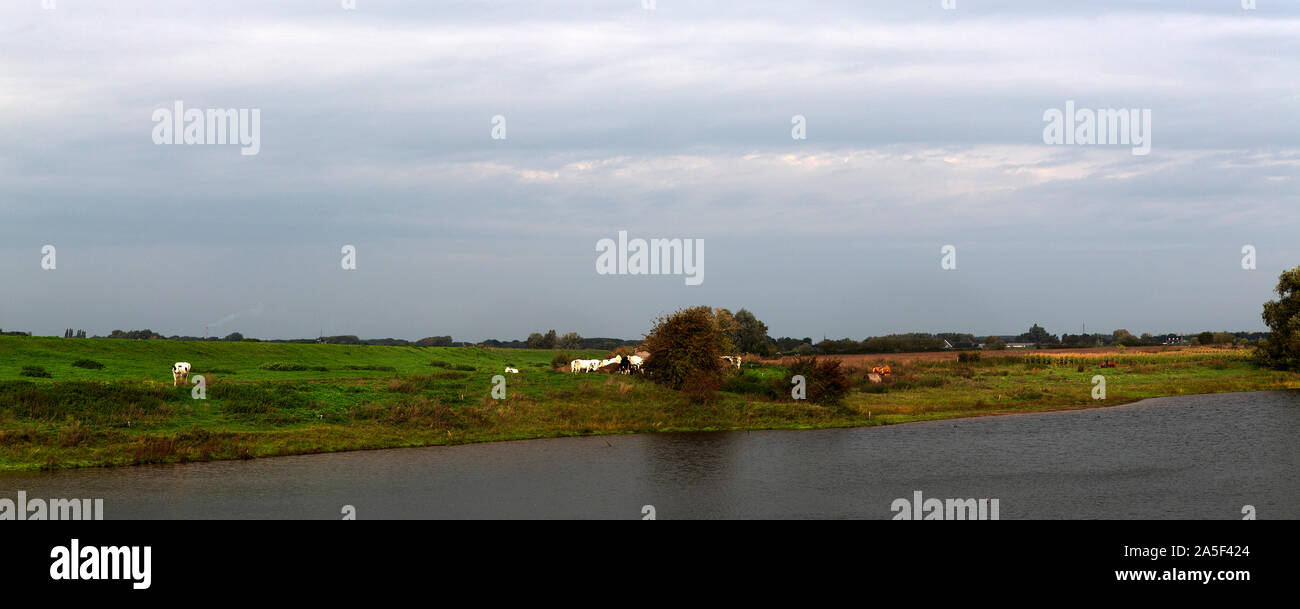 Panorama of landscape of Dutch river Meuse near Nederhemert, Netherlands Stock Photo