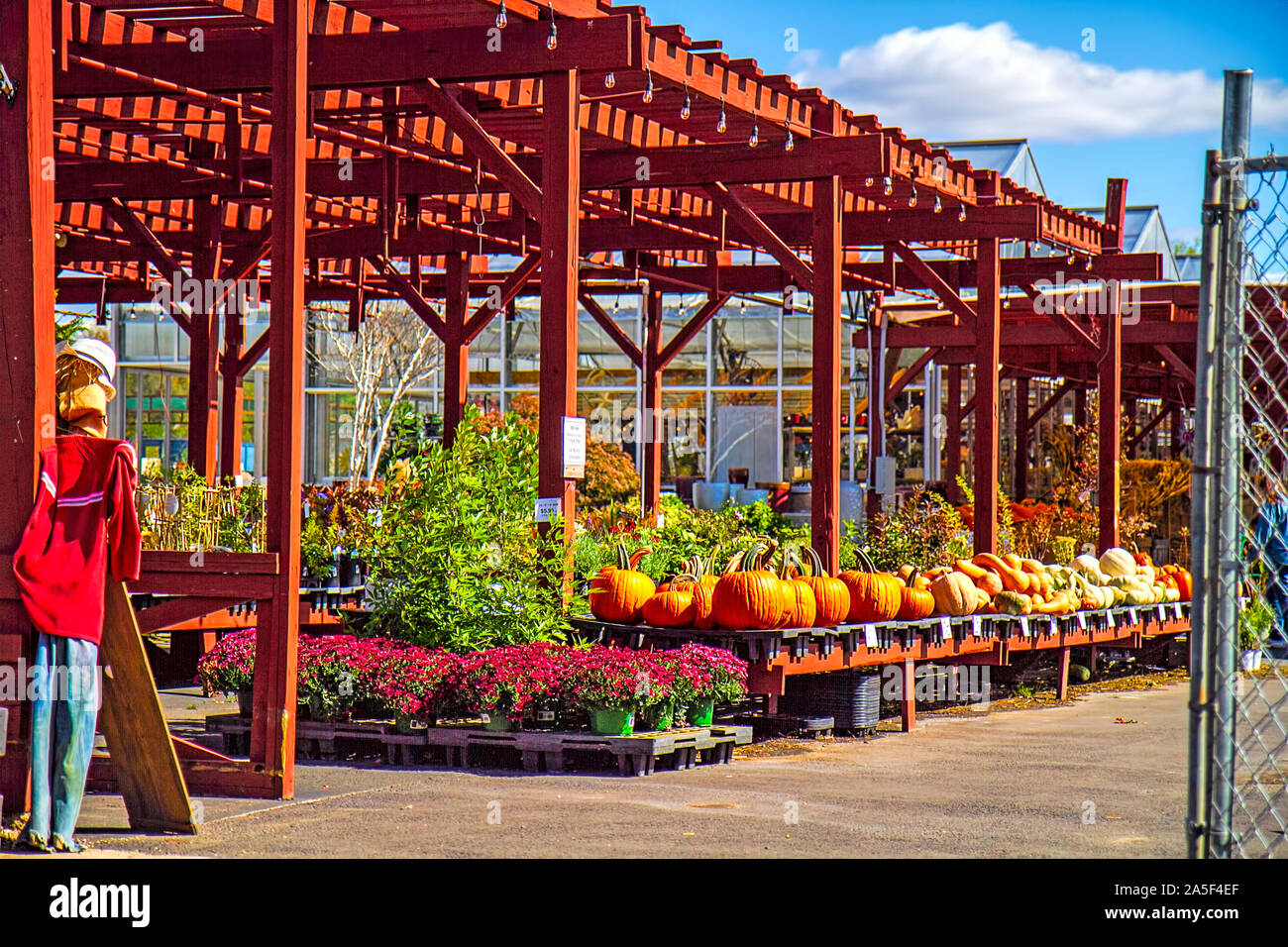 Quaint and popular local farmer's market selling outdoors plants, pumpkins and more in the fall season. Decorated for Fall season and Halloween. Stock Photo